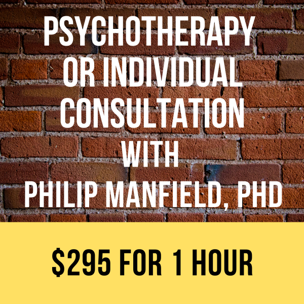One Hour of Psychotherapy or Individual Consultation w/ Philip Manfield, PhD